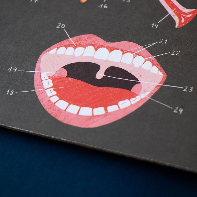 Educational game of the human body